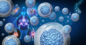 HARNESSING THE POWER OF STEM CELLS AND EXOSOMES: ADVANCING STANDARD PROCEDURES AND TREATMENTS